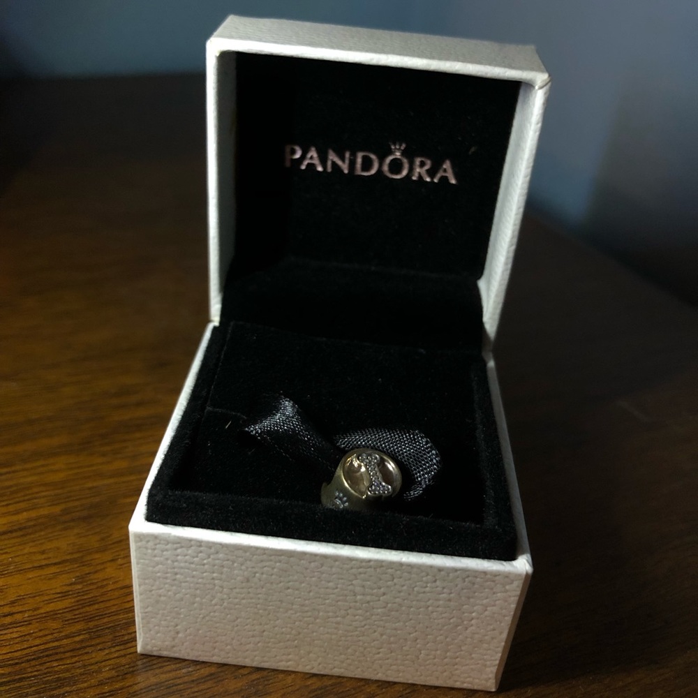 Pandora charm